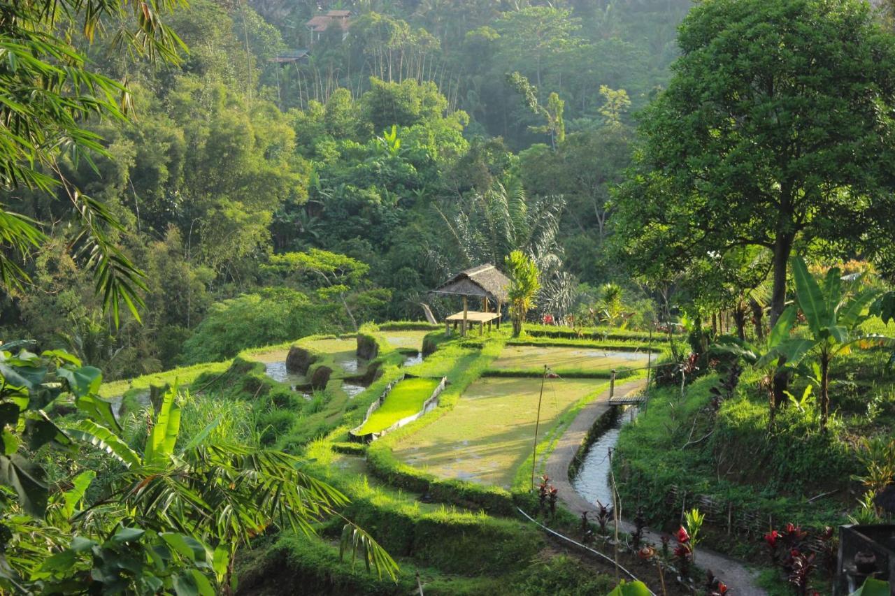 Sang Tirta Resort Penebel Kültér fotó