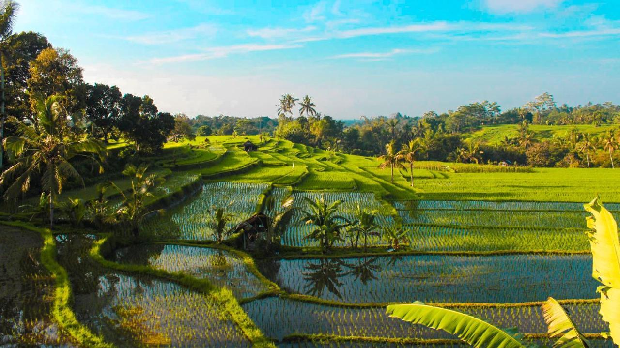 Sang Tirta Resort Penebel Kültér fotó